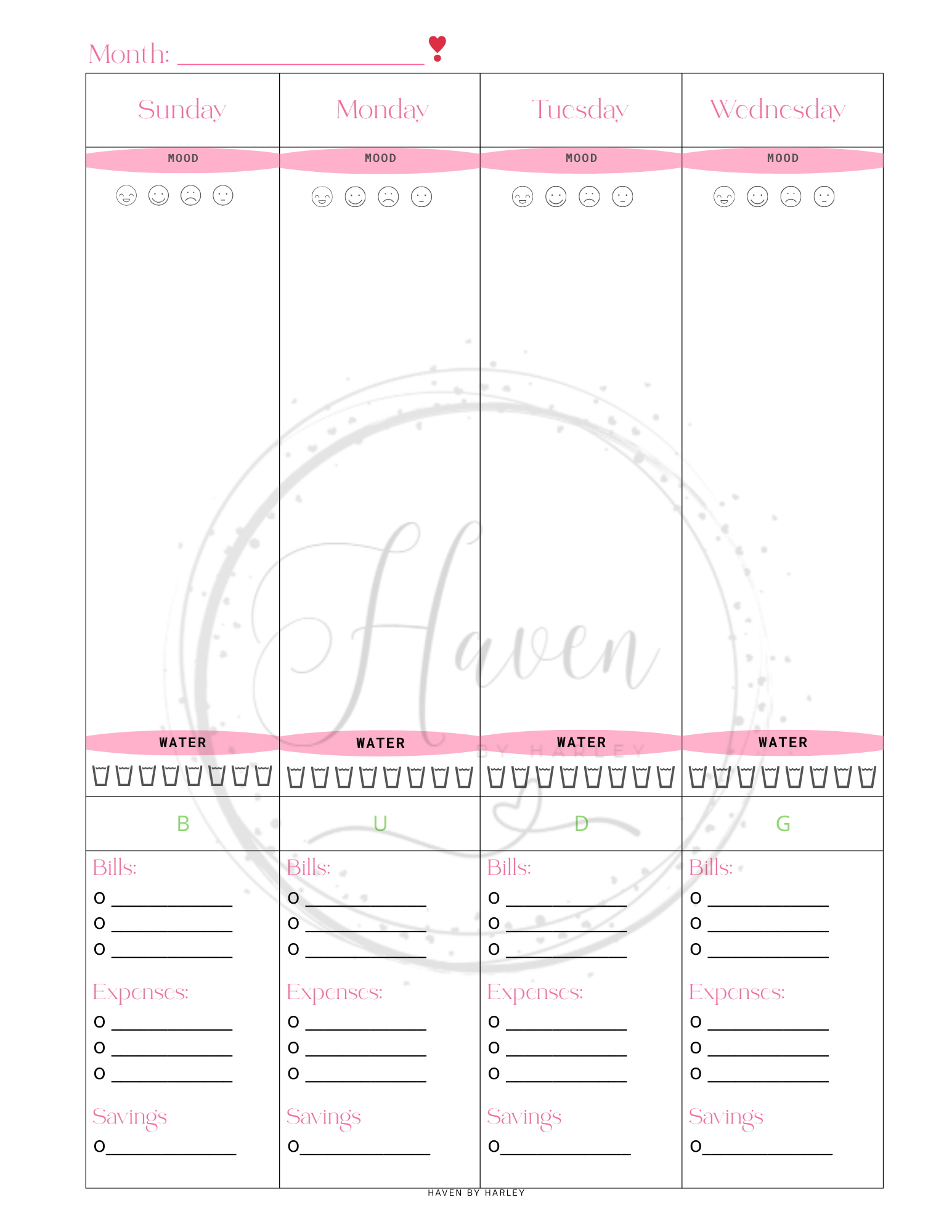 Plan-It Harley™ Starter Pink Planner (Printable 8.5x11)